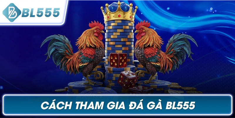Cách Tham Gia Đá Gà BL555
