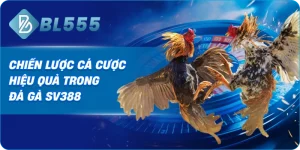 Chiến Lược Cá Cược Hiệu Quả Trong Đá Gà SV388