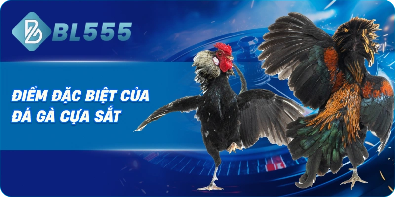  Điểm Đặc Biệt Của Đá Gà Cựa Sắt